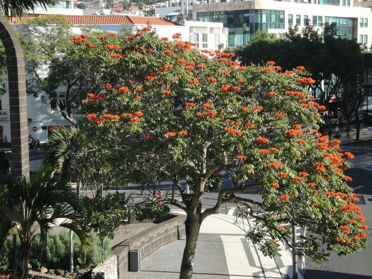Villa Violeta House Funchal  Exterior foto